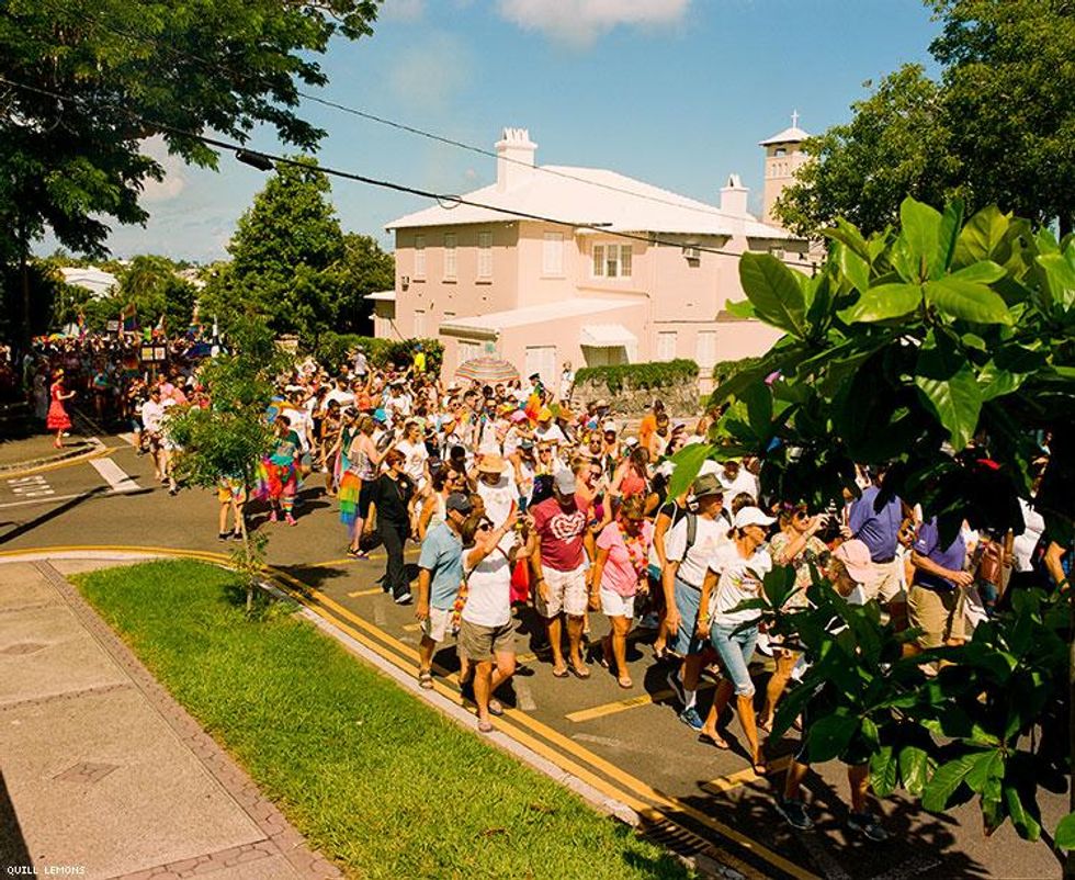 Bermuda Pride Quill Lemons