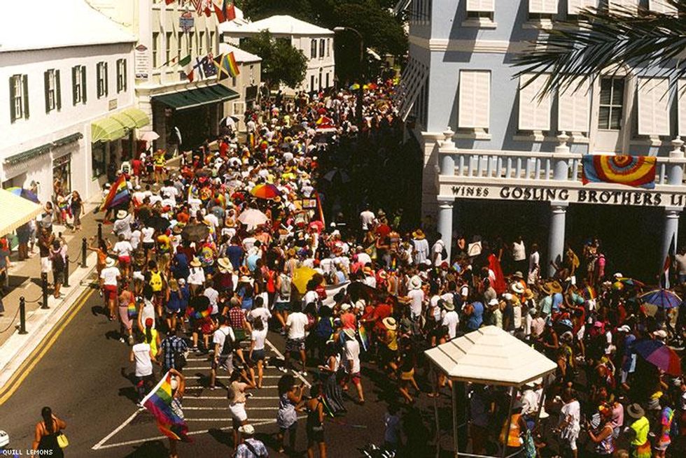 Bermuda Pride Quill Lemons