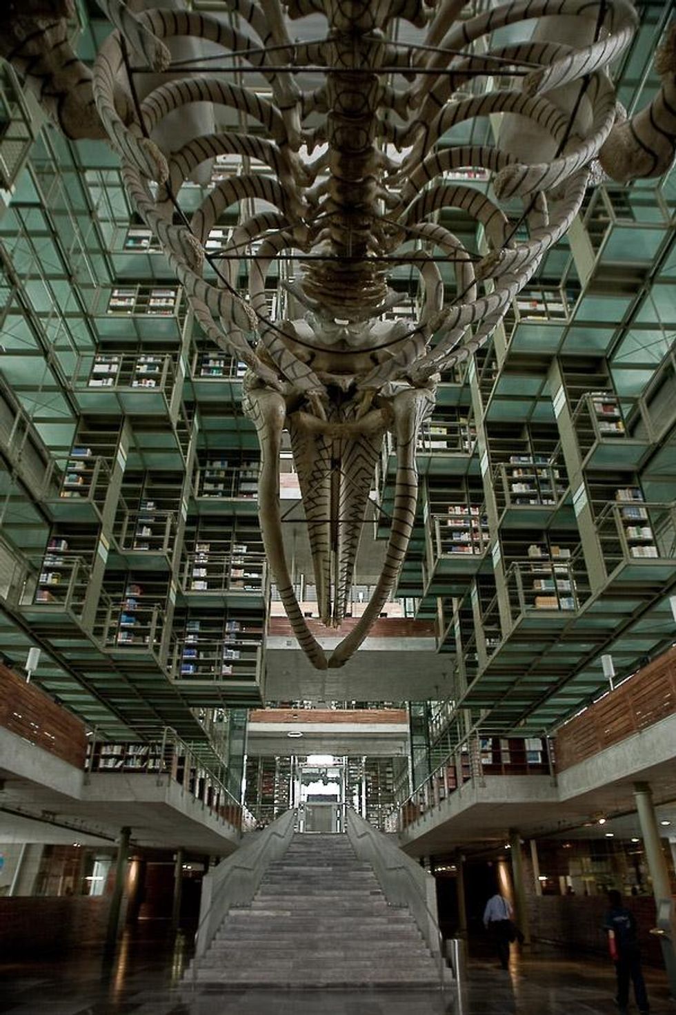 Bibliotecavasconcelo-orozco