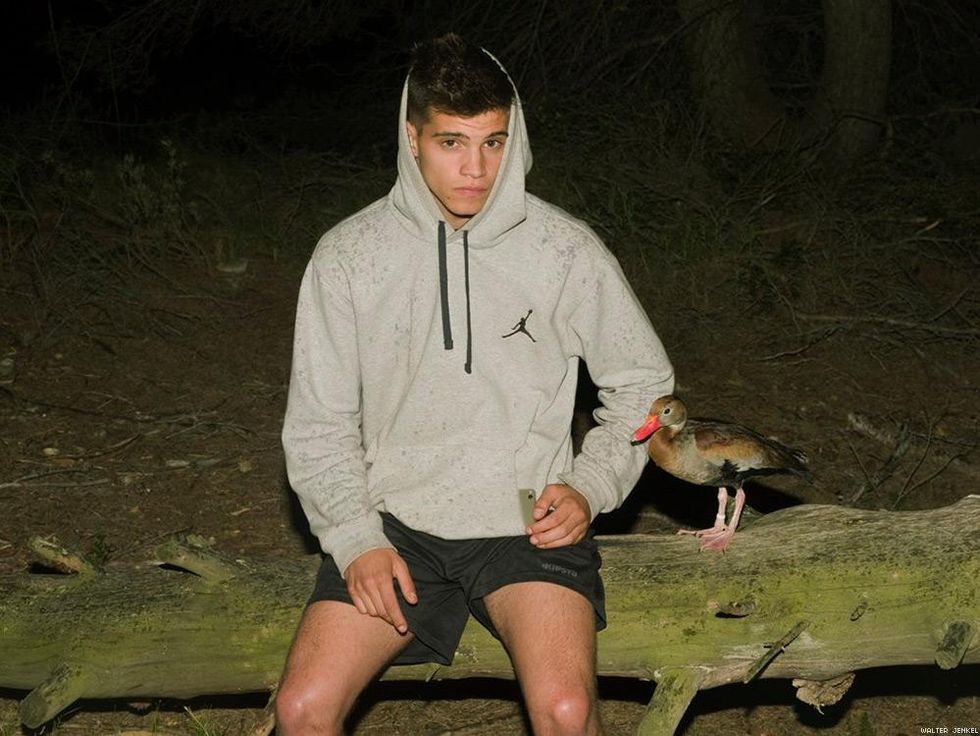 Black-bellied whistling duck (Dendrocygna autumnalis autumnalis)