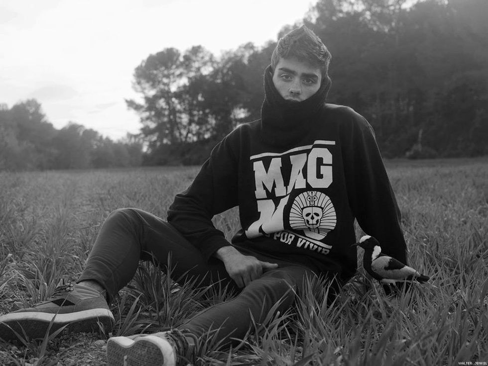 Blacksmith lapwing (Vanellus armatus)