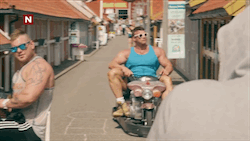 bodybuilders in lilliput