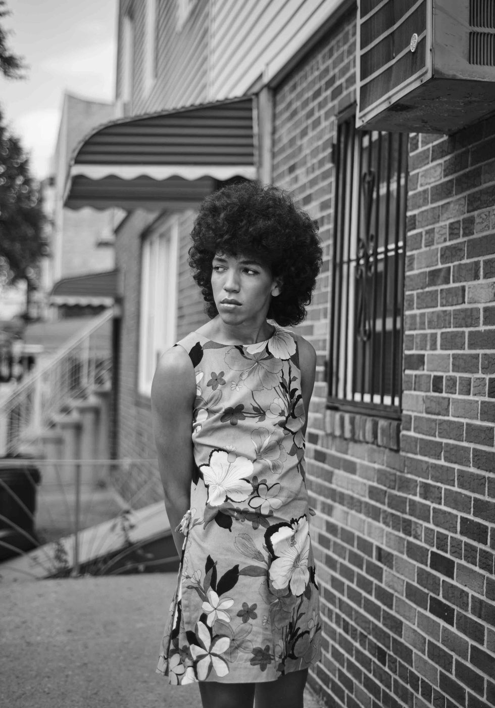 Brandy-Alexander Weber