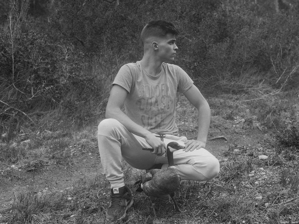 Cackling goose (Branta hutchinsii leucopareia)