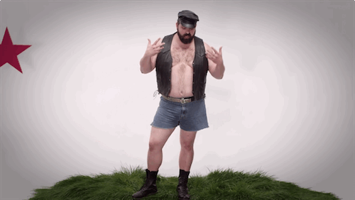 california gay bear flag