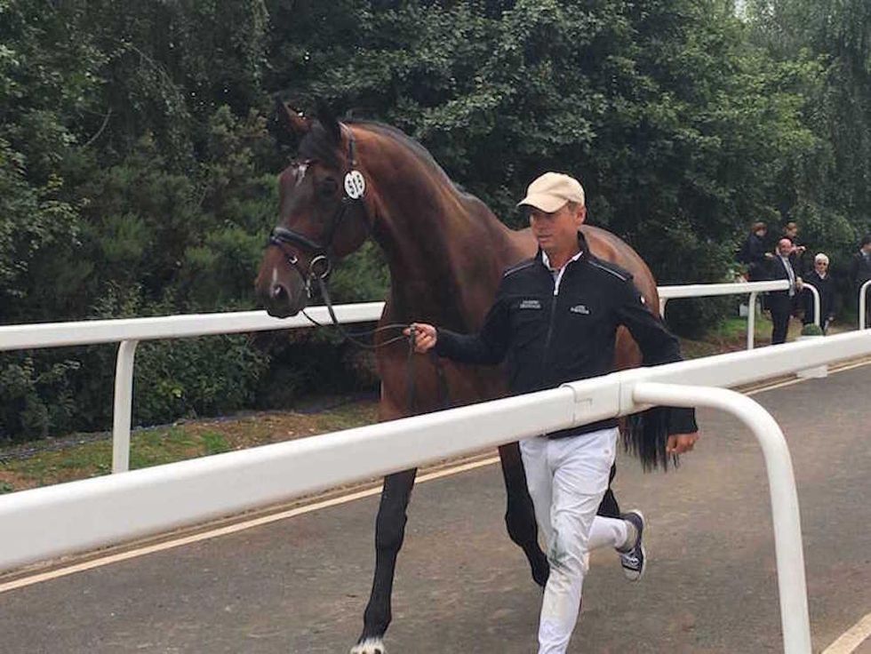 Carl Hester, Equestrian, Great Britain, Silver