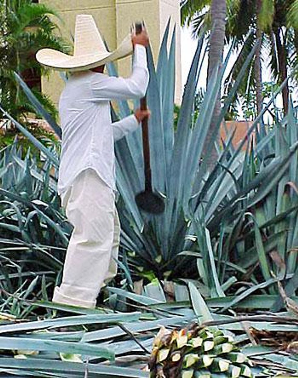 Casamagna-marriott-puerto-vallartax350