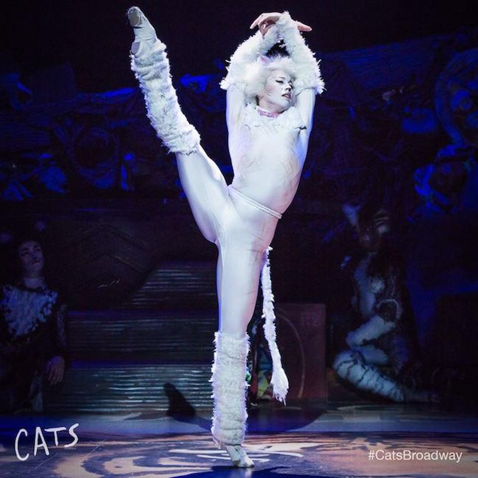 cats-musical.jpg