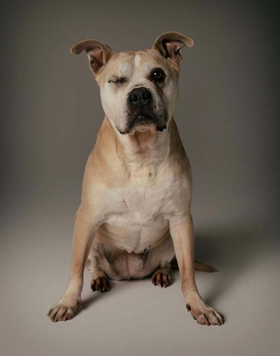 Celebrity photographer Mike Ruiz Rescue Me 2026 calendar benefitting Louies Legacy Animal Rescue featuring Biggie