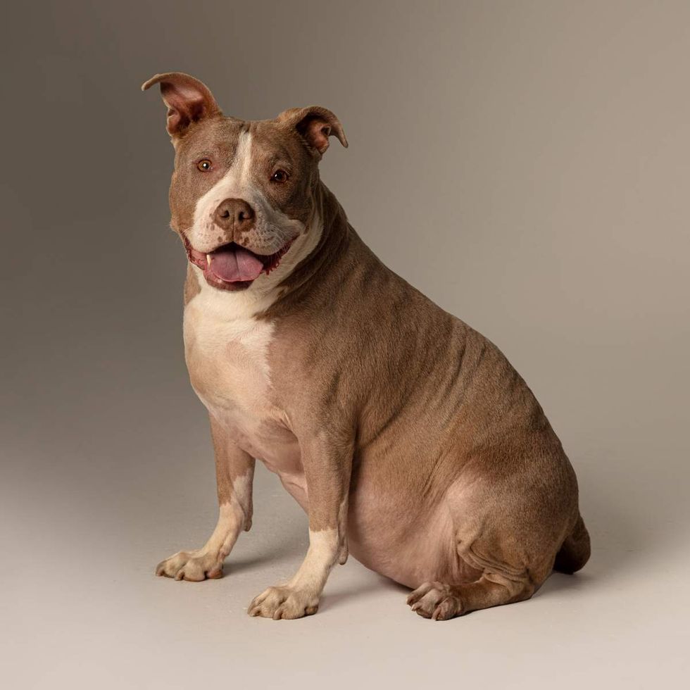 Celebrity photographer Mike Ruiz Rescue Me 2026 calendar benefitting Louies Legacy Animal Rescue featuring Billie Holiday