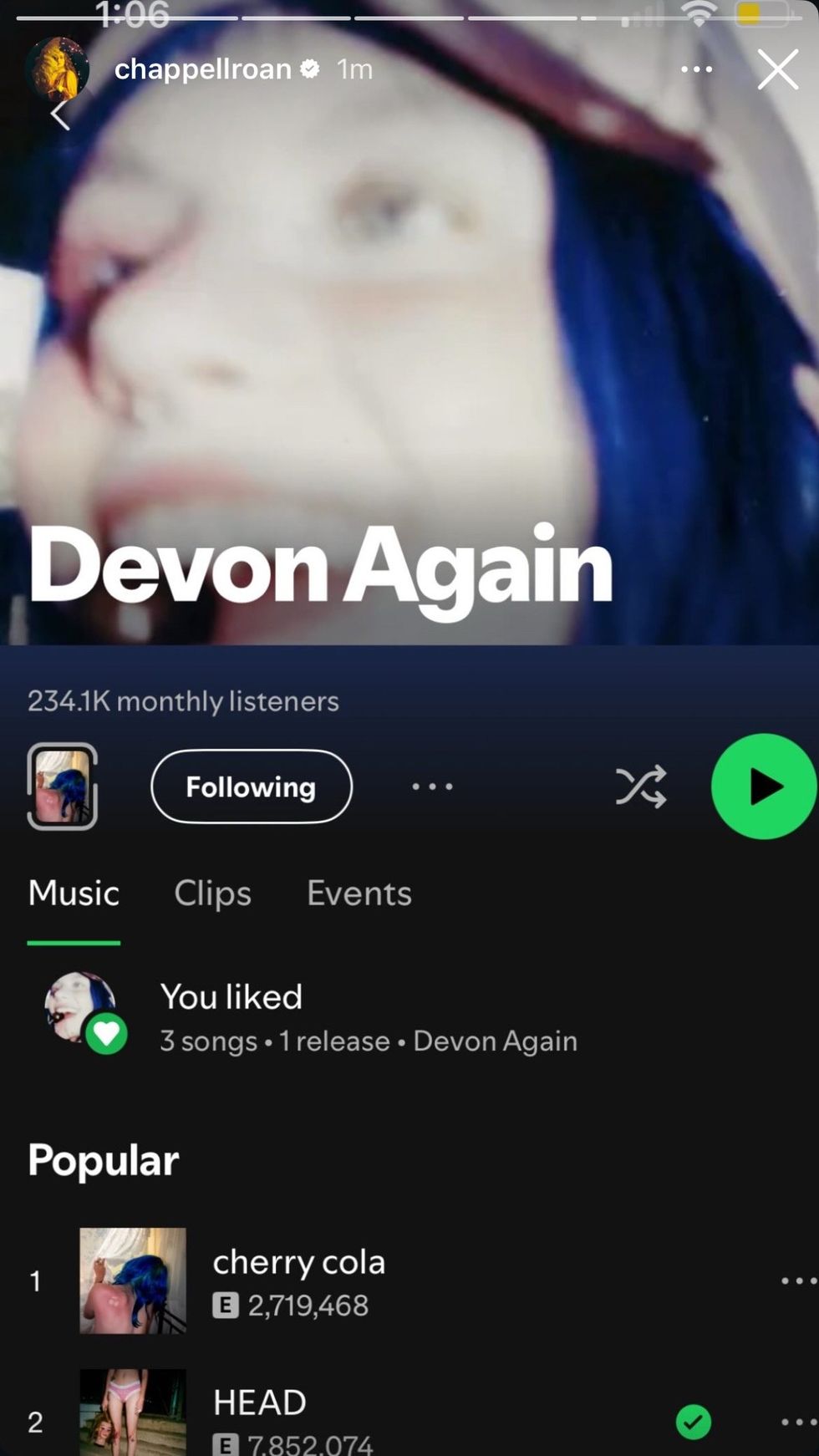 Chappell Roan via Instagram story