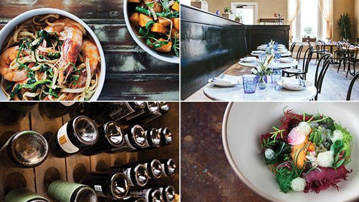 Charleston-recharged-rotator