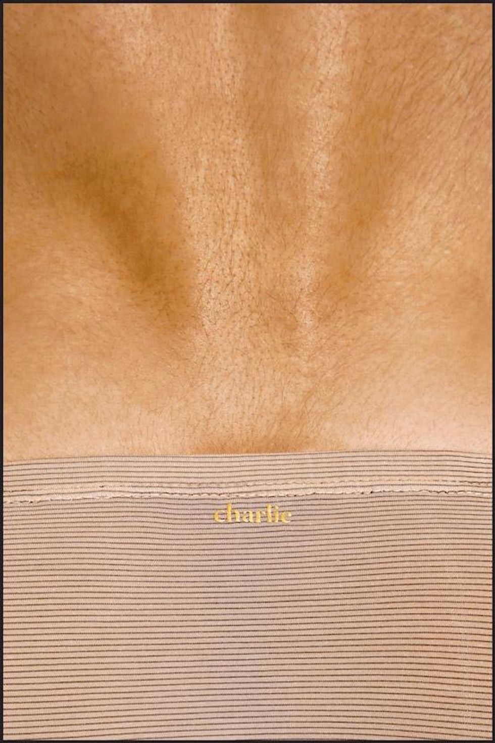 Charlie's 'Wood' Series Is Men's Underwear At Its Most Exquisite