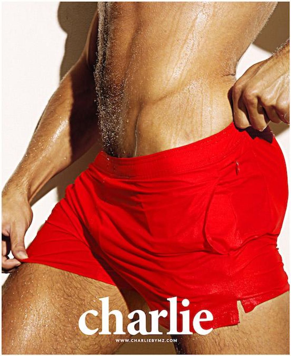 Check Out the Steamy Lookbook for Charlie's Italian-Made Swimwear