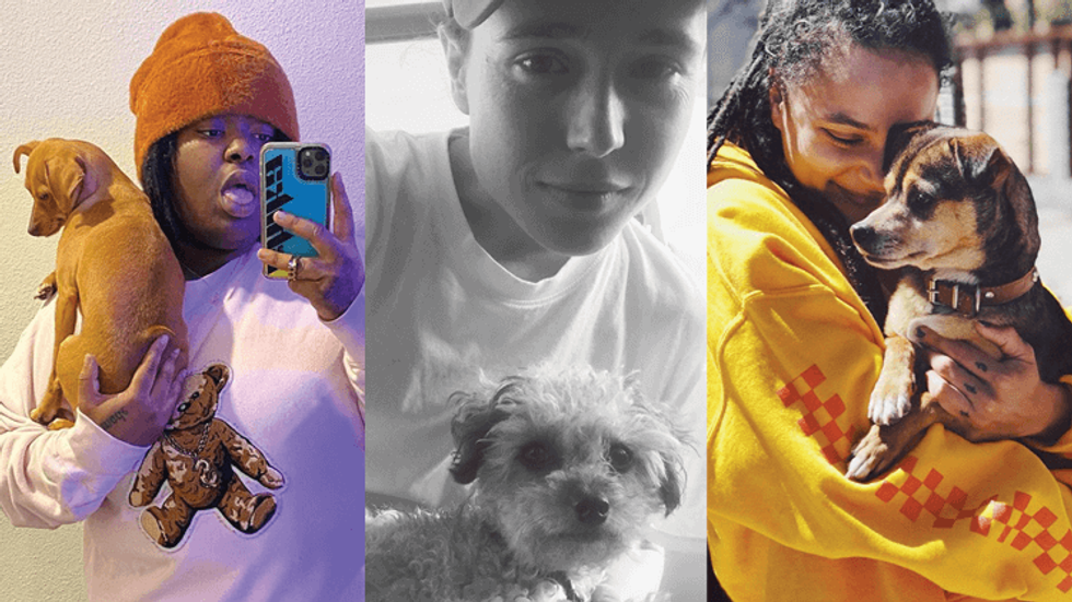 Chika, Elliot Page, and Sasha Lane with their dogs