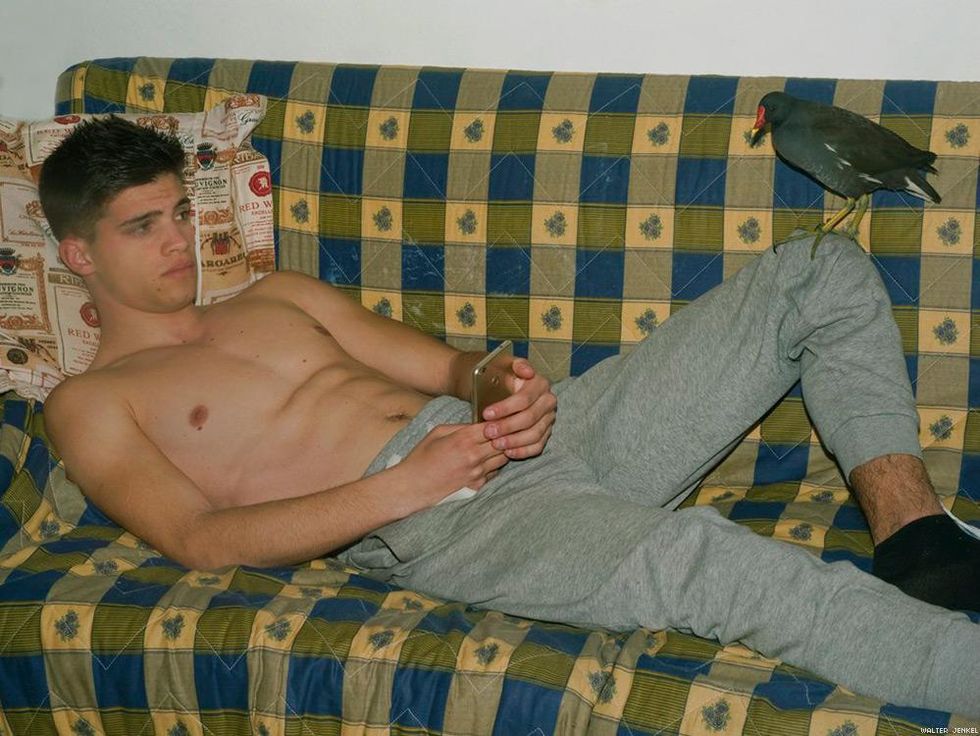 Common moorhen (Gallinula chloropus chloropus)