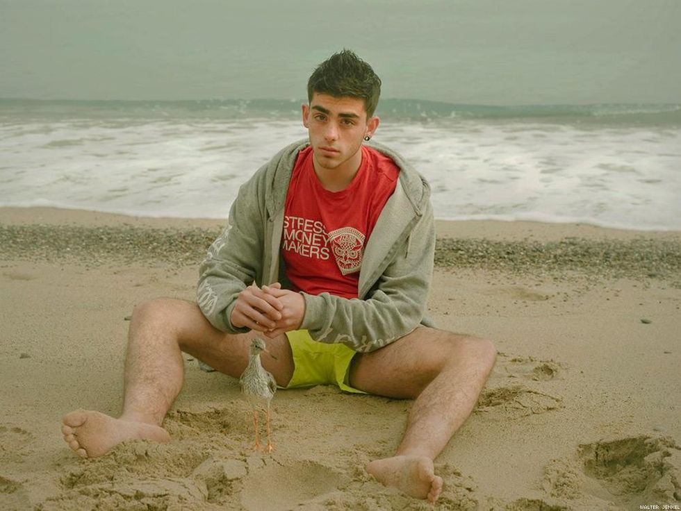 Common redshank (Tringa totanus totanus)