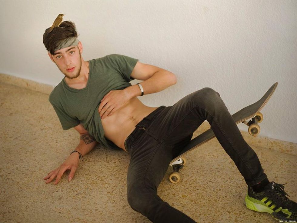 Common Reed-warbler (Acrocephalus scirpaceus)