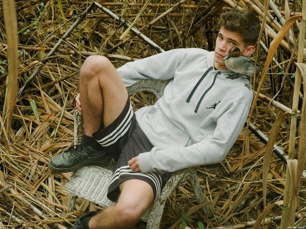 Common teal (Anas crecca crecca)