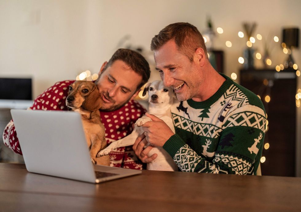 couple gay men christmas video call greeting with puppies - family video new year -