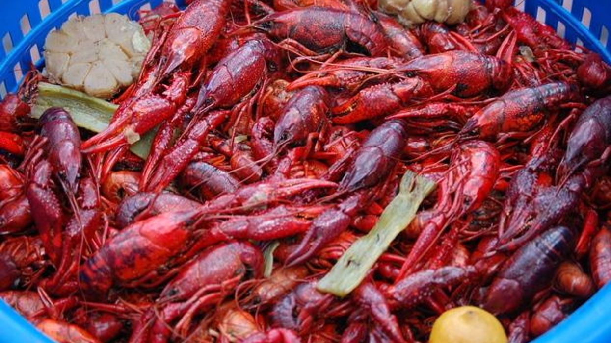 Crawfish