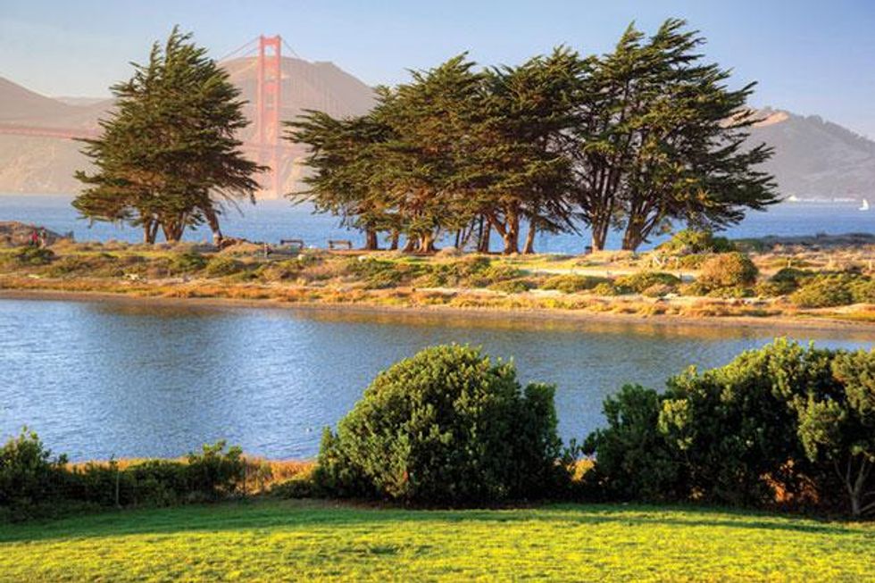 Crissy-marsh-_masoncummings