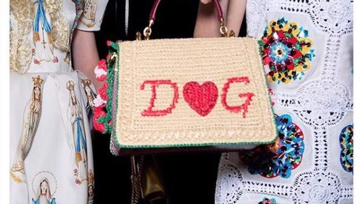 D&G handbag