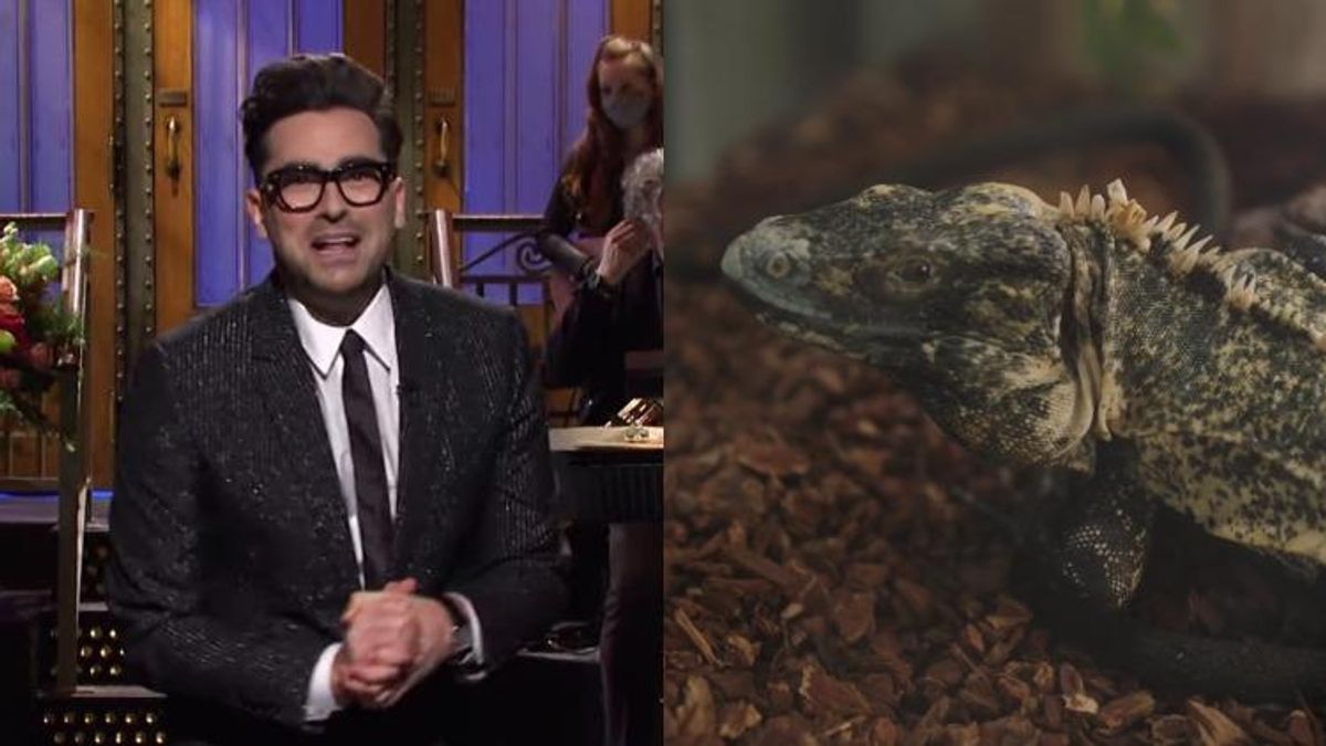 Dan Levy in a diptych with an iguana.
