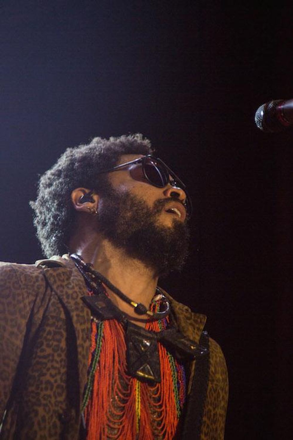 Day 2: Lenny Kravitz