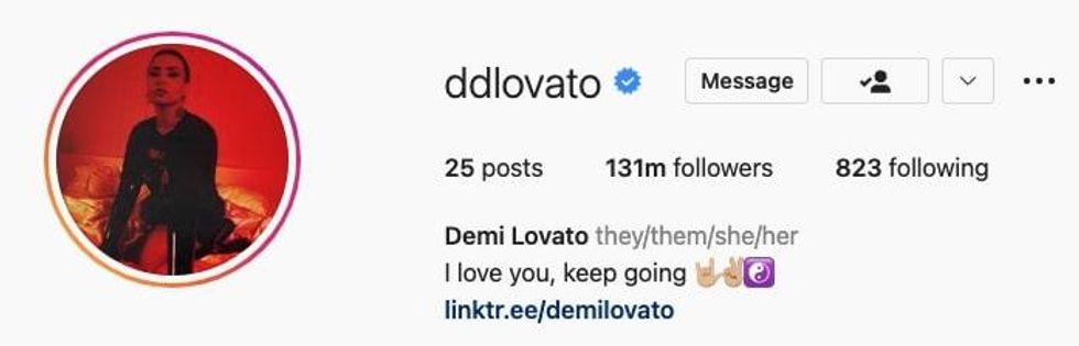 Demi Lovato Instagram bio