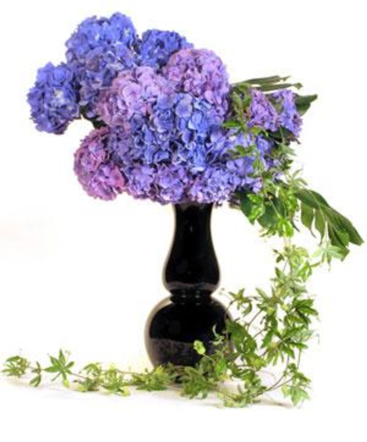 Detail_purpleflower