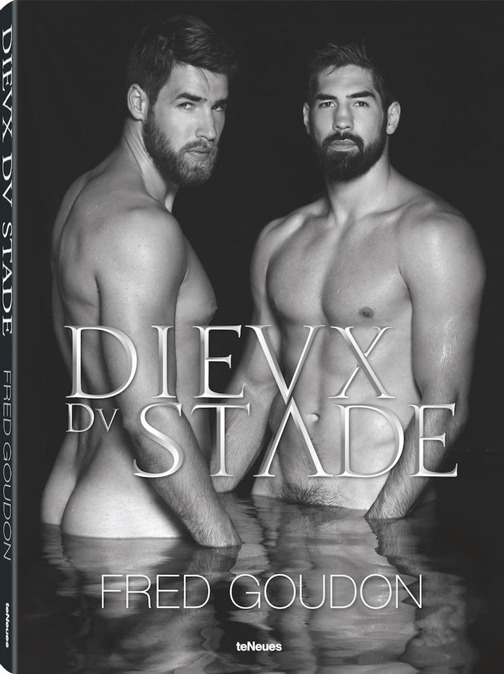 dieux du stade book cover