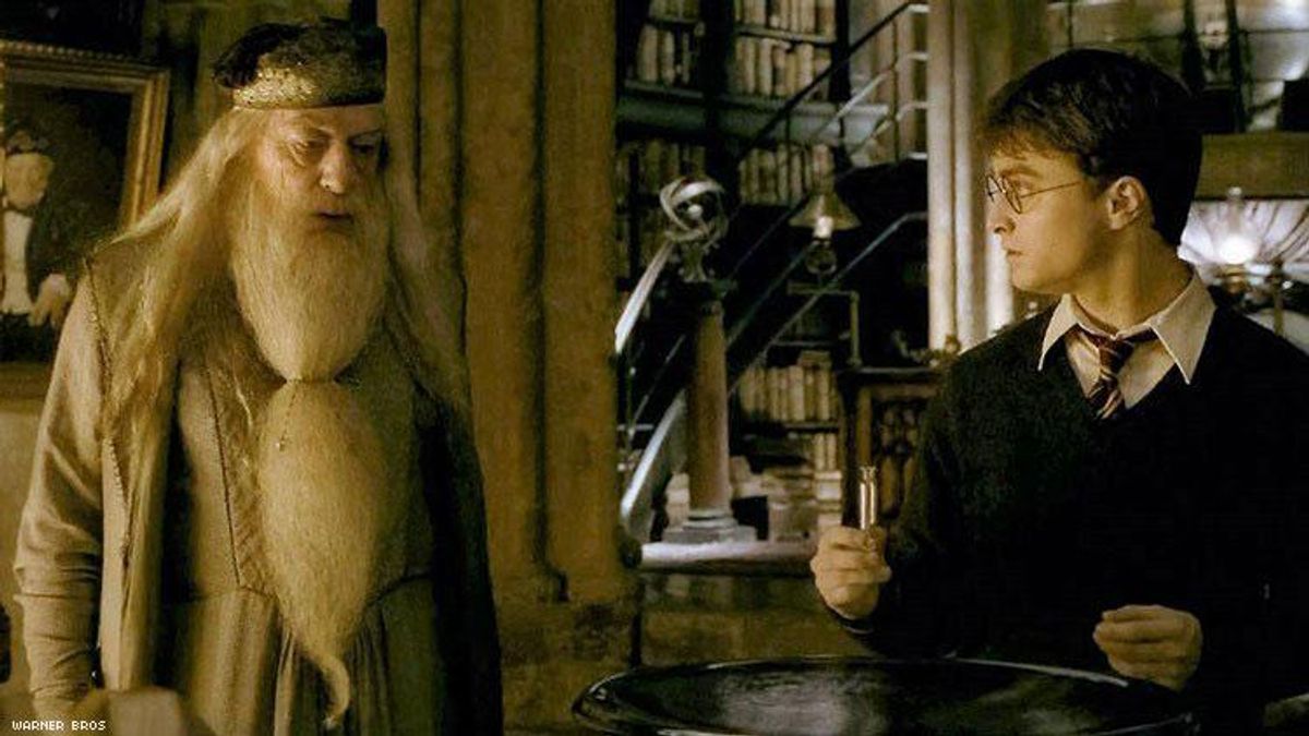 Dumbledore Potter