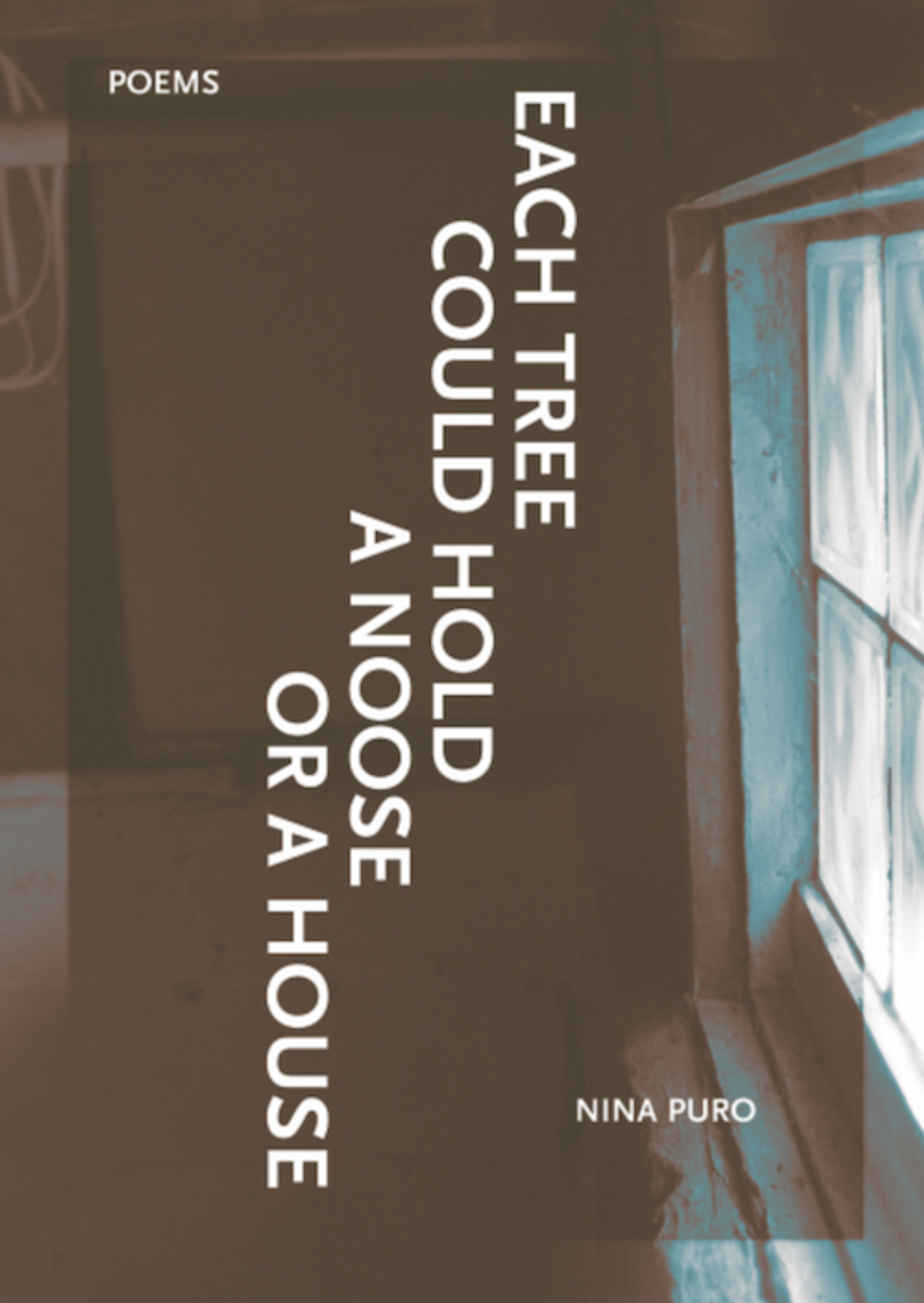 Each Tree Could Hold a Noose or a House wins 2019 Lambda Literary Award.