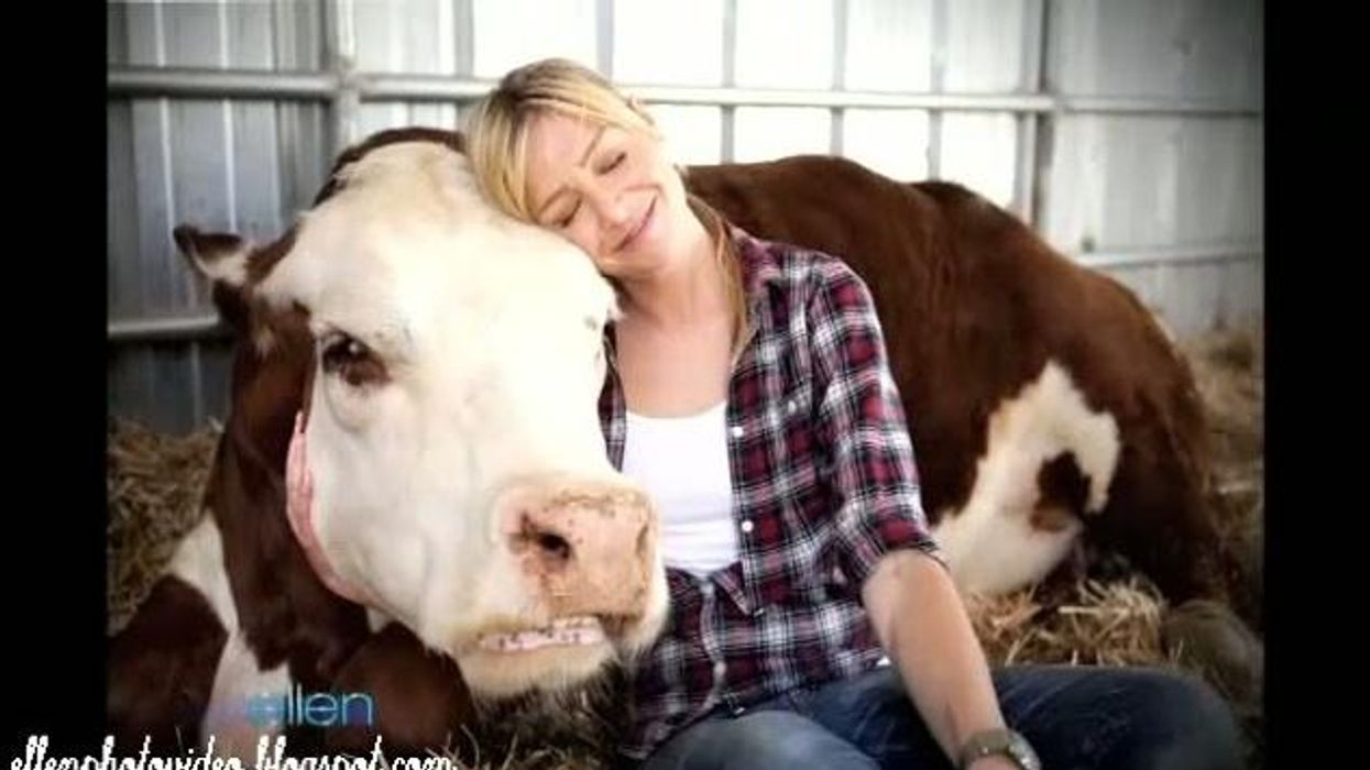 Ellen-portia-rotator