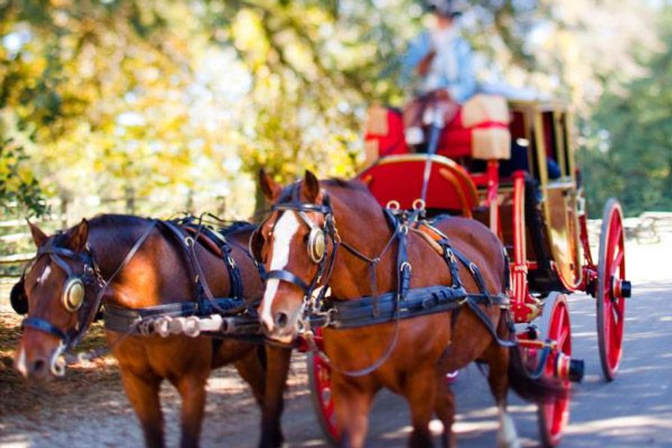 Enhance-ticket-carriage