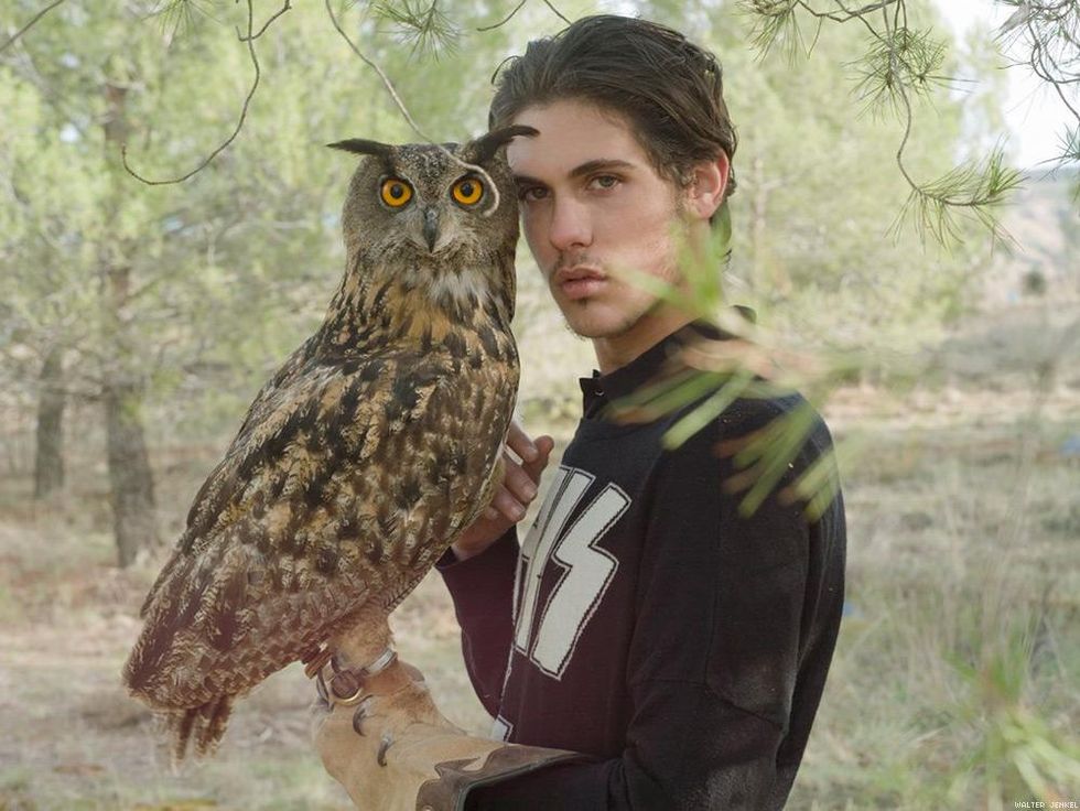 Eurasian eagle-owl (Bubo bubo)