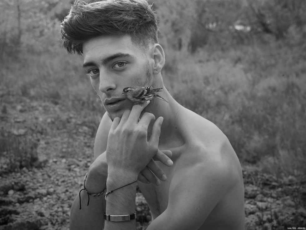 Eurasian siskin (Spinus spinus)