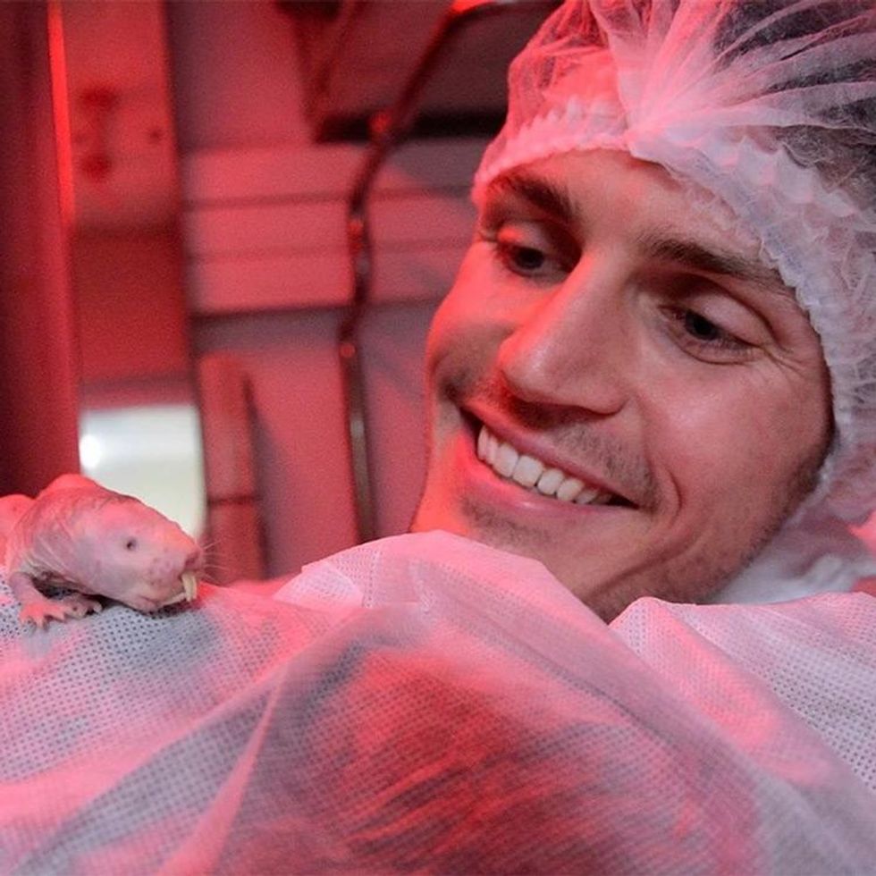 Ewan St. John Smith: "I am gay and I am a neurobiologist."