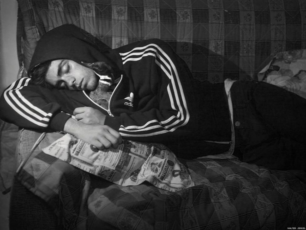 Falcated teal (Anas falcata)