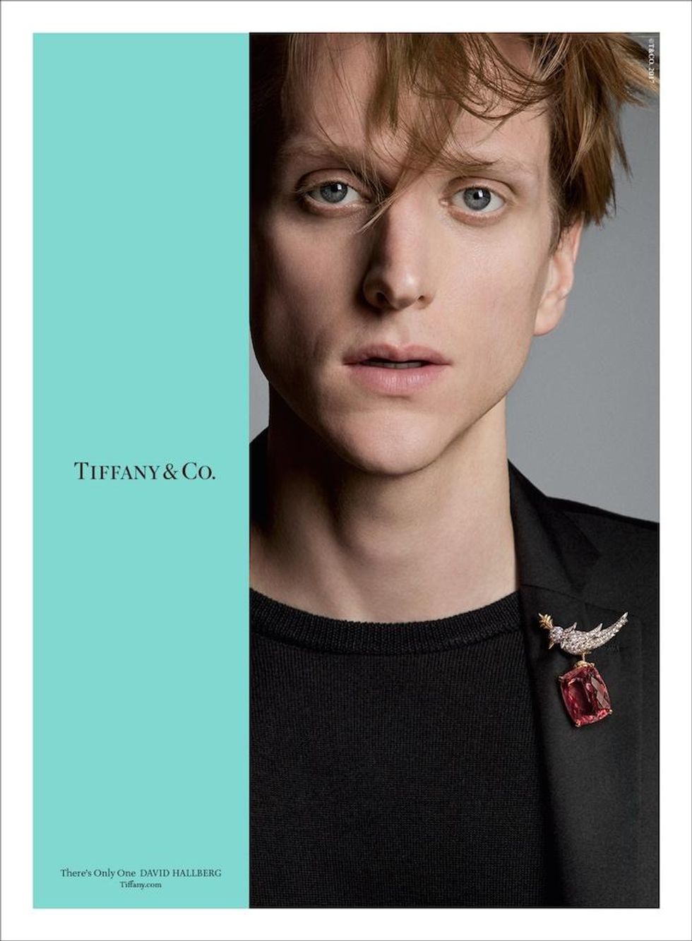 Fall_2017_campaign_david_c_page