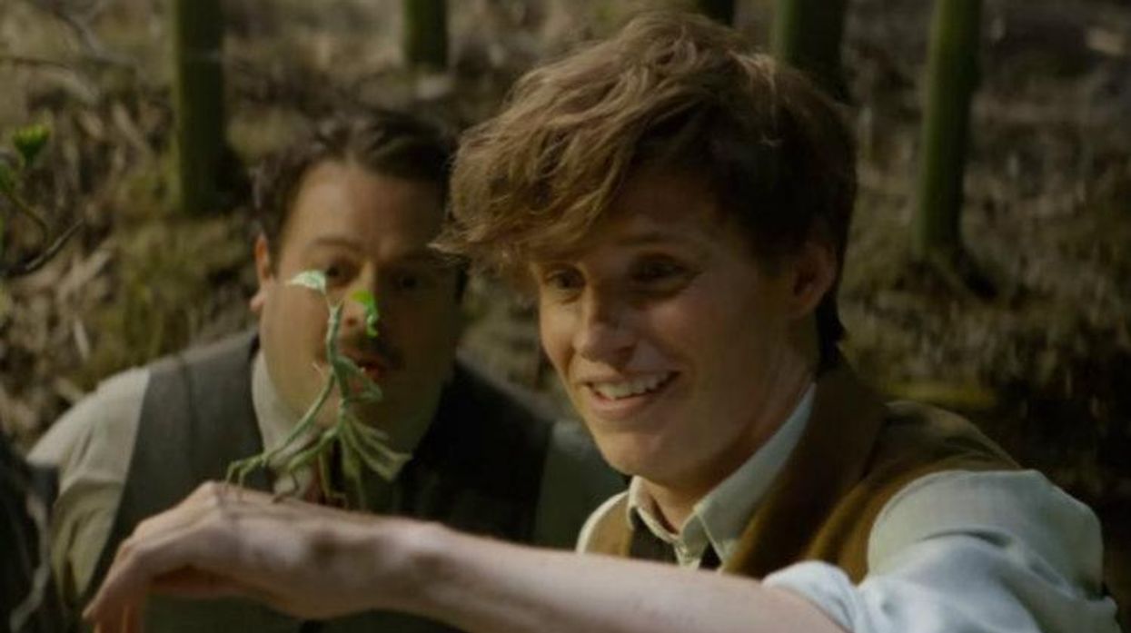 Fantastic Beasts and Where to Find Them