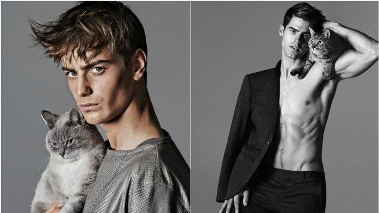 Fashioncatcollage-cr_0