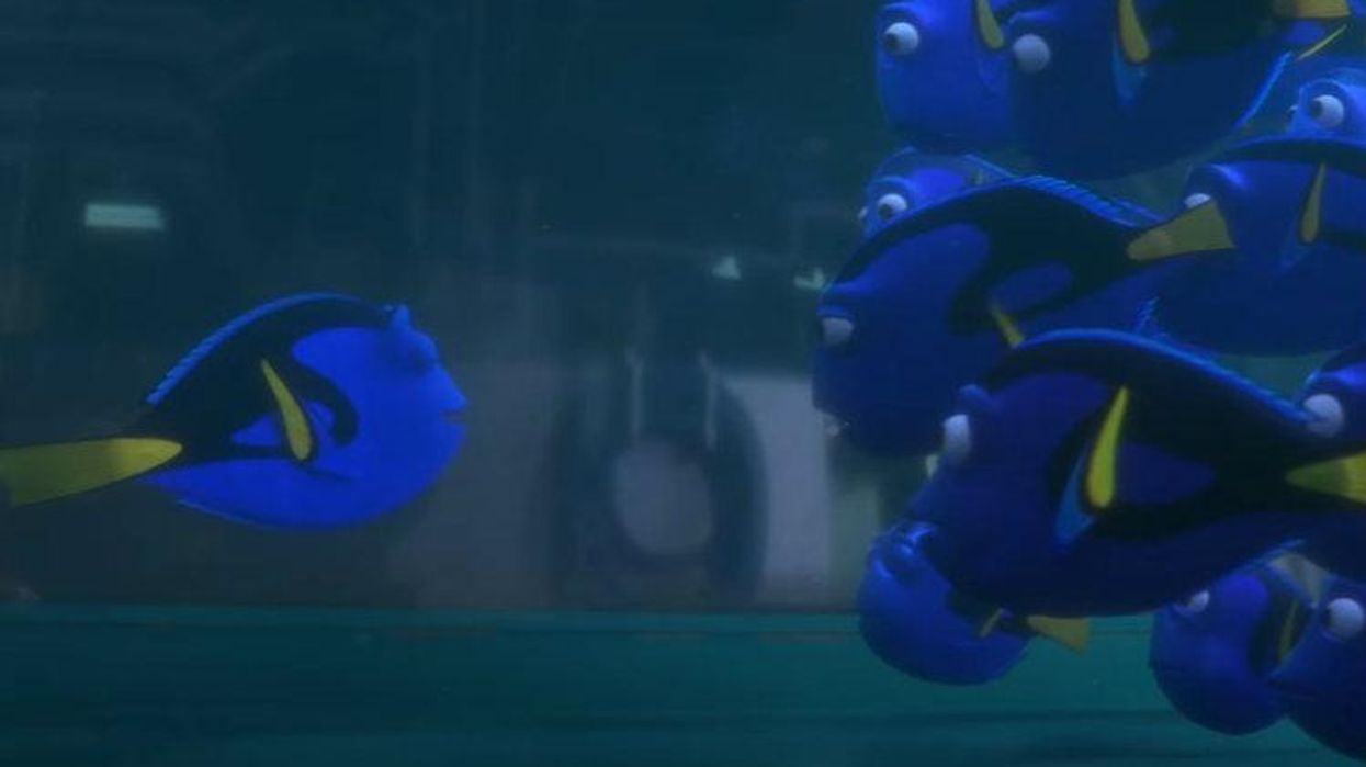 Finding Dory