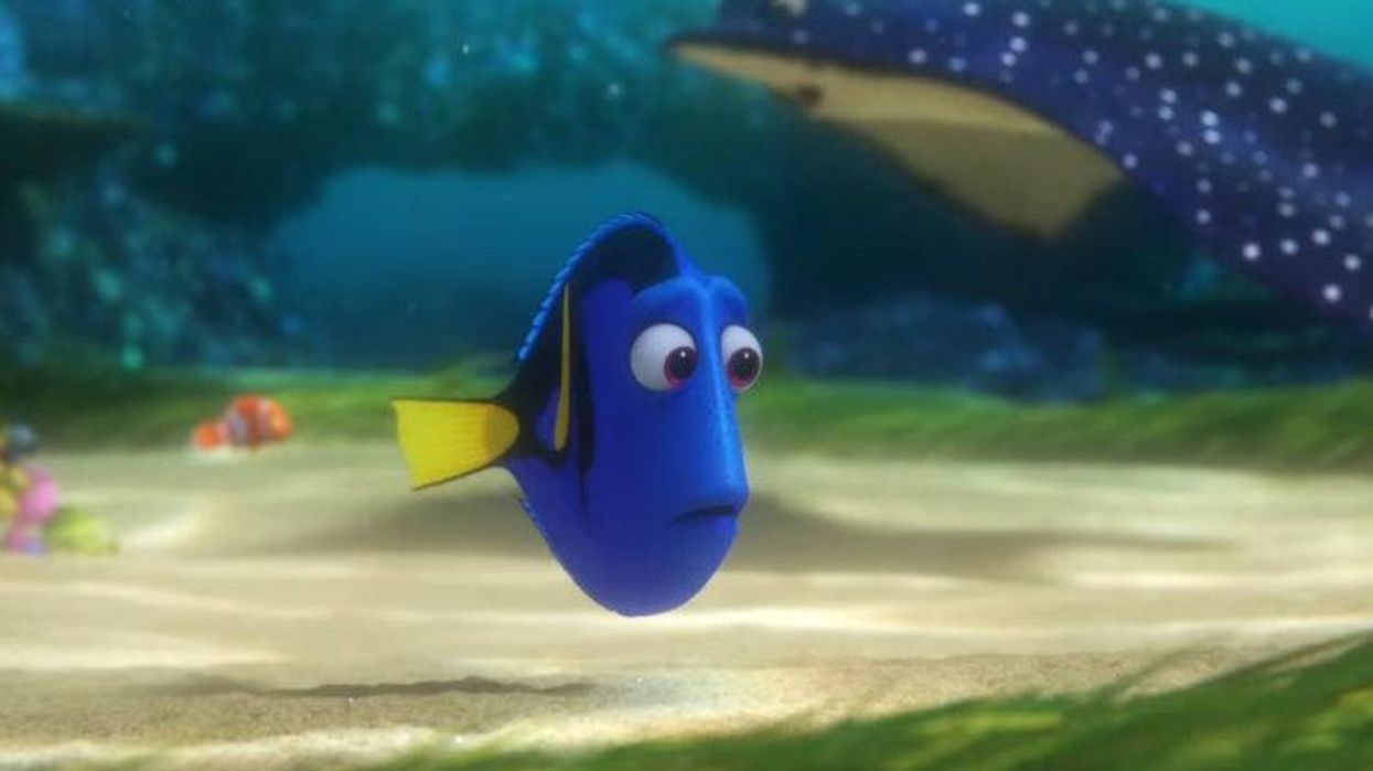 Finding Dory