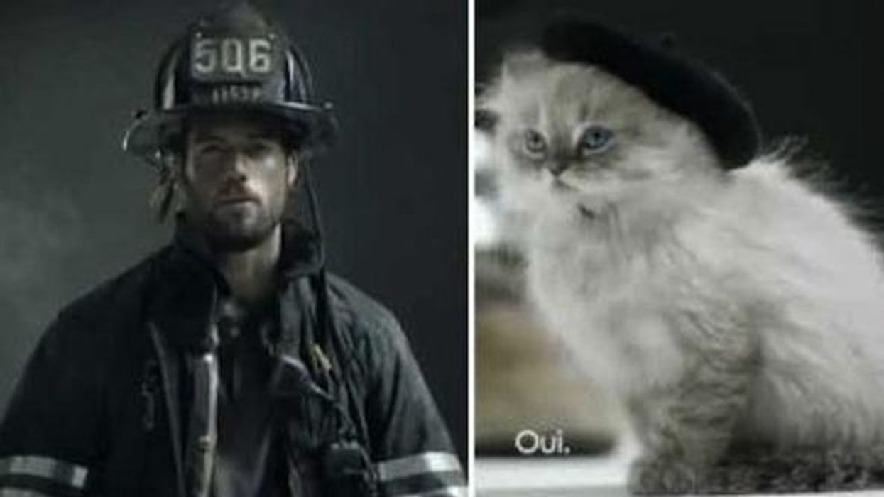 Fireman-kitty-sauza-rotator