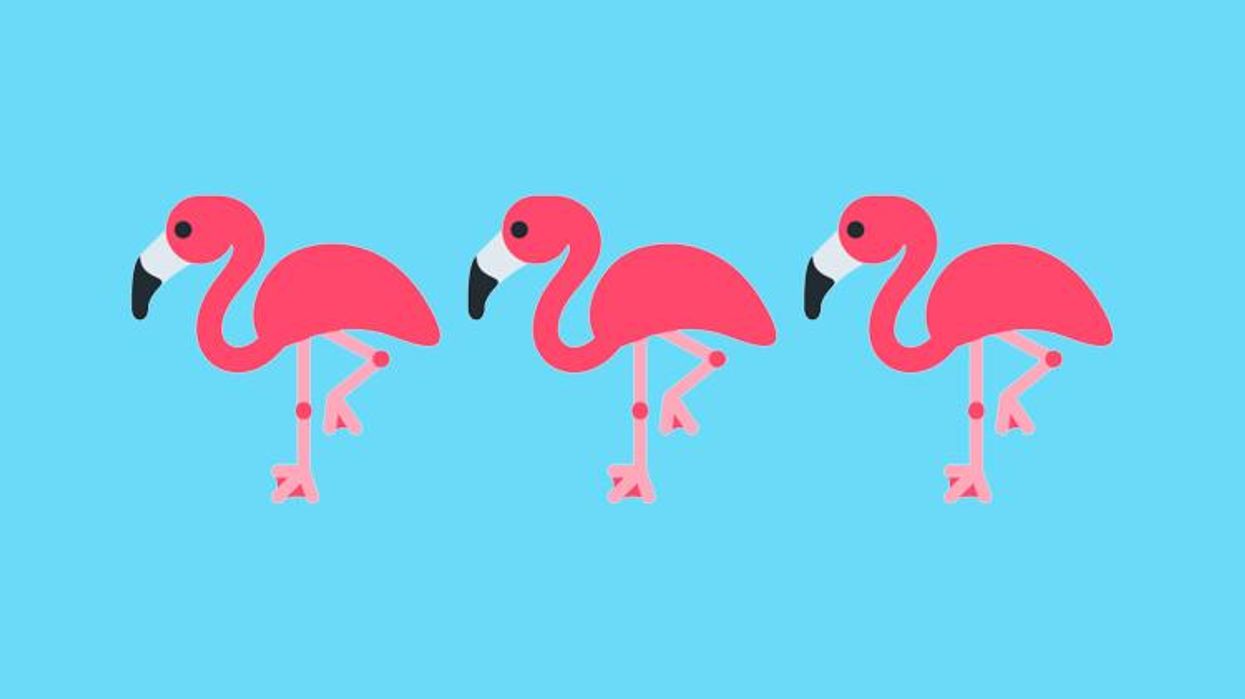 Flamingo Emoji
