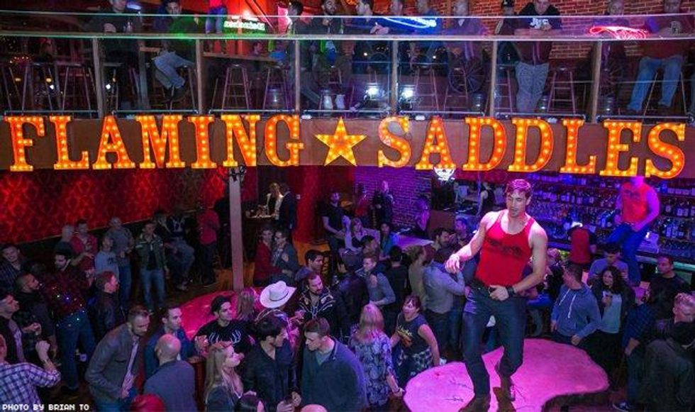 Flamingsaddles-lg_6_0