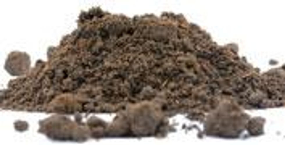 Foodiesfallguidedirt