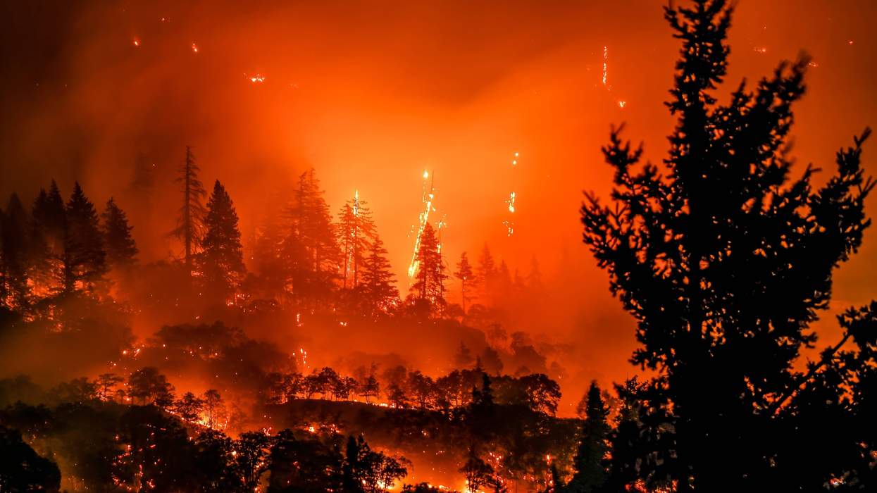 Forest wildfire with intense flames and smoke illuminating the night sky.